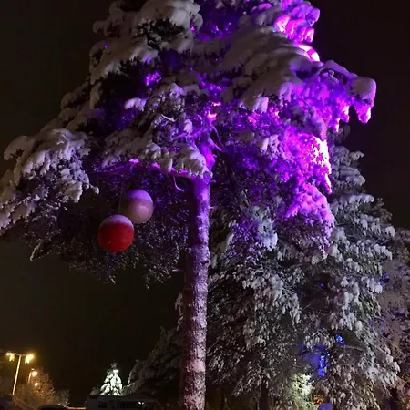 Polar Glow House - Near Santa Claus Village * 罗瓦涅米