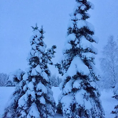 Polar Glow House - Near Santa Claus Village 罗瓦涅米