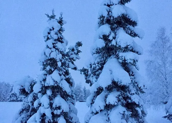 Polar Glow House - Near Santa Claus Village Rovaniemi